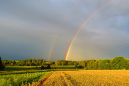 Regenbogen / ***