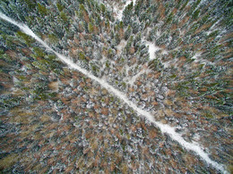 Forststraße / ***
