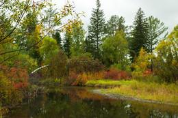 Herbst / ***