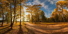 Herbst / ***