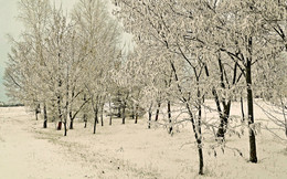 im verschneiten Dekoration / ***
