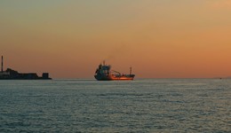 Tanker Blätter. / ***