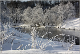 Winter Willow / ***