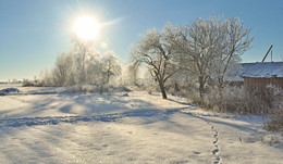 Winterschlaf / ***