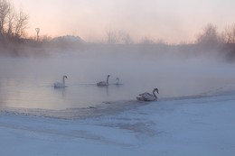 Der Morgen des neuen Jahres. / ***