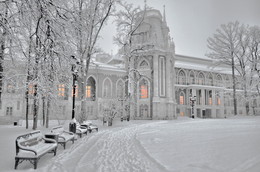 Frosty Day / ***