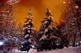 im Park / ***