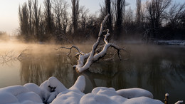 Morgen, am ersten Januar / ***