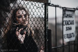  / ***