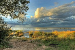 at Bay / ***