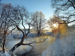 Januar-Morgen / ***