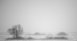Morgendämmerung in den Sturm / ***