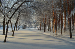 Forest, Allee / ***