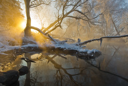 Morgen auf dem Fluss / ***