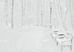 Wintertag / ***