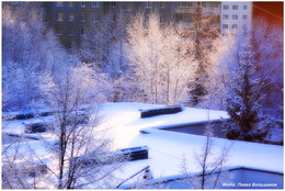 Morgen des neuen Jahres / ***