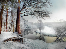 im Januar / ***