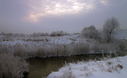 Winter, Morgendämmerung, Nebel / ***