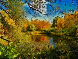 Auf dem Teich in Sokolniki. / ***