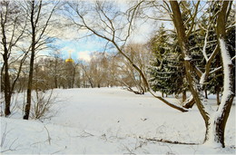 Winter Park / ***