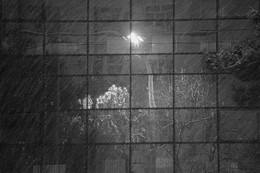 Schneesturm in der Glaswand / ***