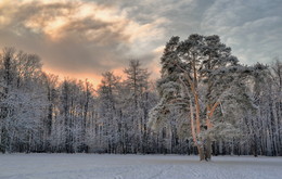 Wintersonne / ***