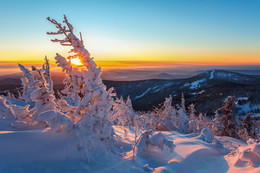Neujahrs Sunset / ***