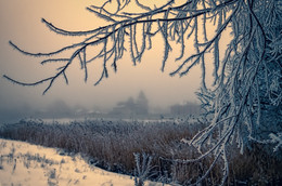 Foggy Weihnachtsmorgen / http://www.youtube.com/watch?v=kFy_9hRS2uc