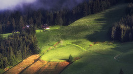 Alpine Berghängen / ***