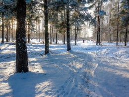 Schnee fiel ... / ***