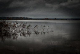 Exodus ... / ...