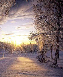 Sonnenuntergang im Winter / ***