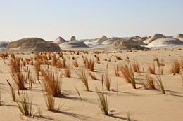 Weiße Wüste / Ägypten