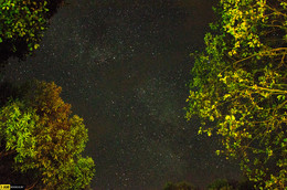 Milky Way / ***