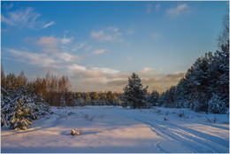 Winterwald / ***