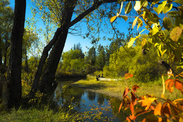 Herbst / ***