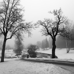 im Park / ***