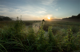 Reim des Morgenlichts / ***