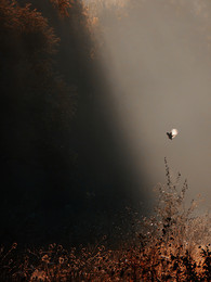 lieben / ***