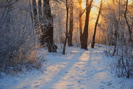 Reim des Morgenlichts / ***
