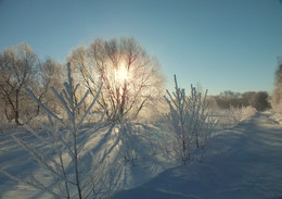 Reim des Morgenlichts / ***