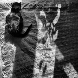 Reim des Morgenlichts / ---