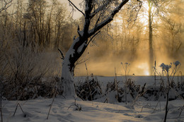 Living River / ***