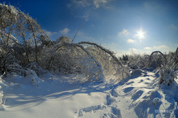 Bow Winter / ***