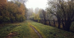 Herbst / ***
