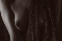 Bust and hair. / Bust and hair.