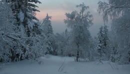 Sonnenuntergang im Winter / ***