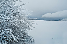 Schnee Stille / ***