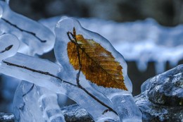 In Winter / ***