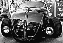 auto / ...